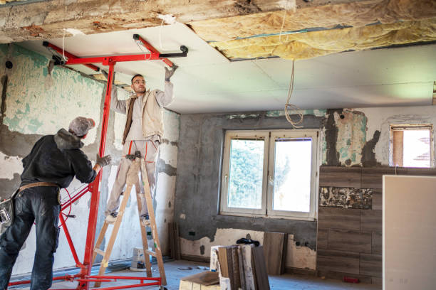 Best Geographic-Specific Insulation Services in Holiday, FL
