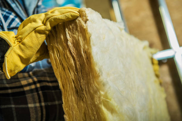 Best Insulation Maintenance and Repair in Holiday, FL