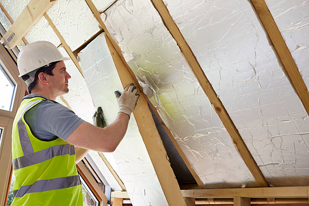 Best Cellulose Insulation in Holiday, FL