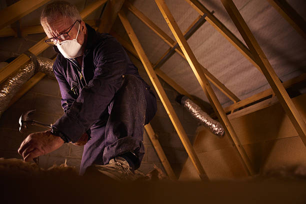 Trusted Holiday, FL Insulation Contractor Experts