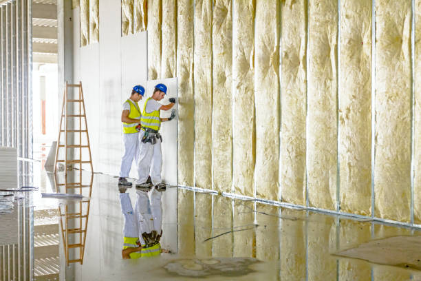 Best Residential Insulation in Holiday, FL